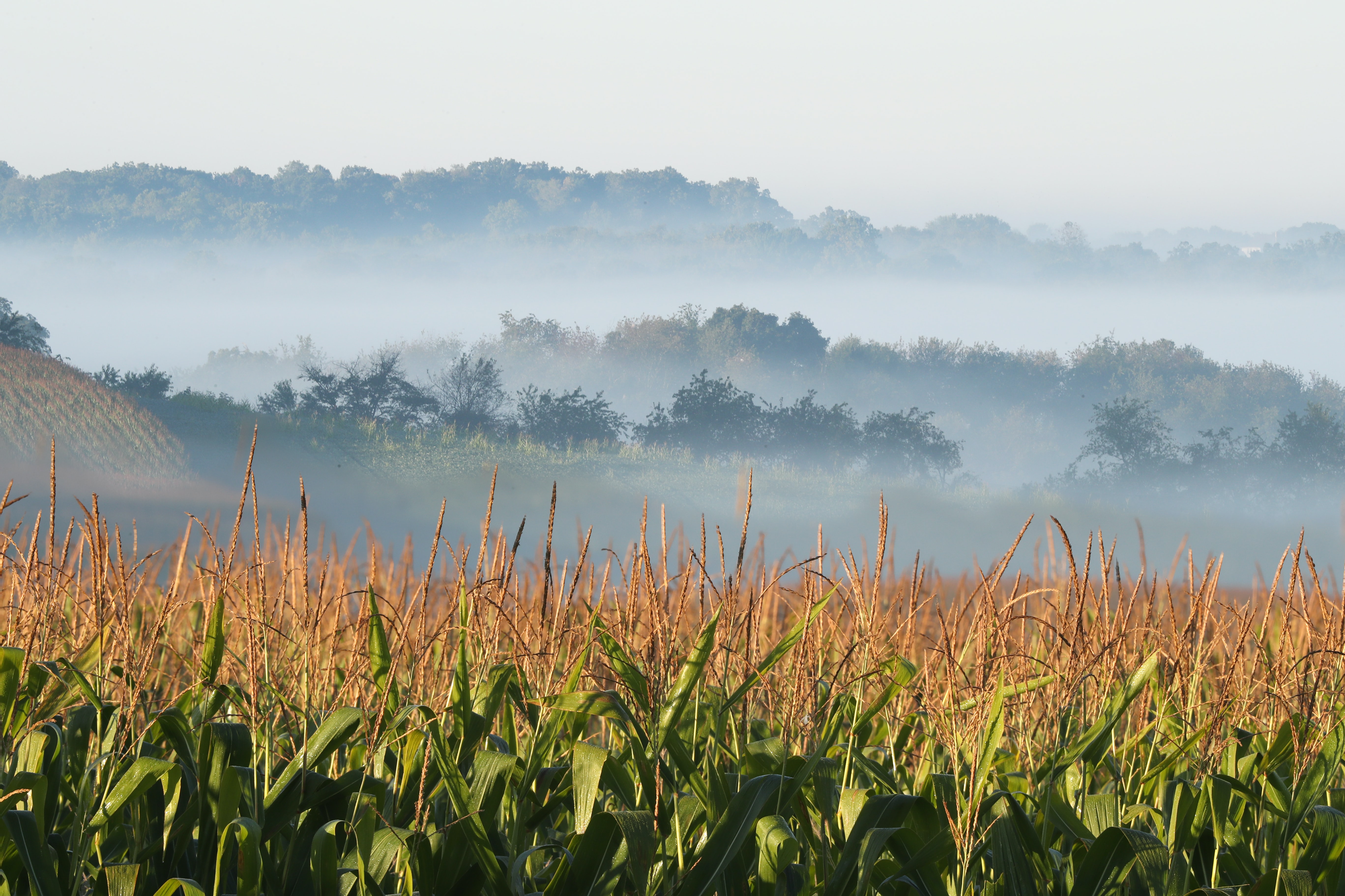 Amish Country3