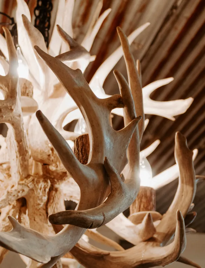 Antler Chandelier