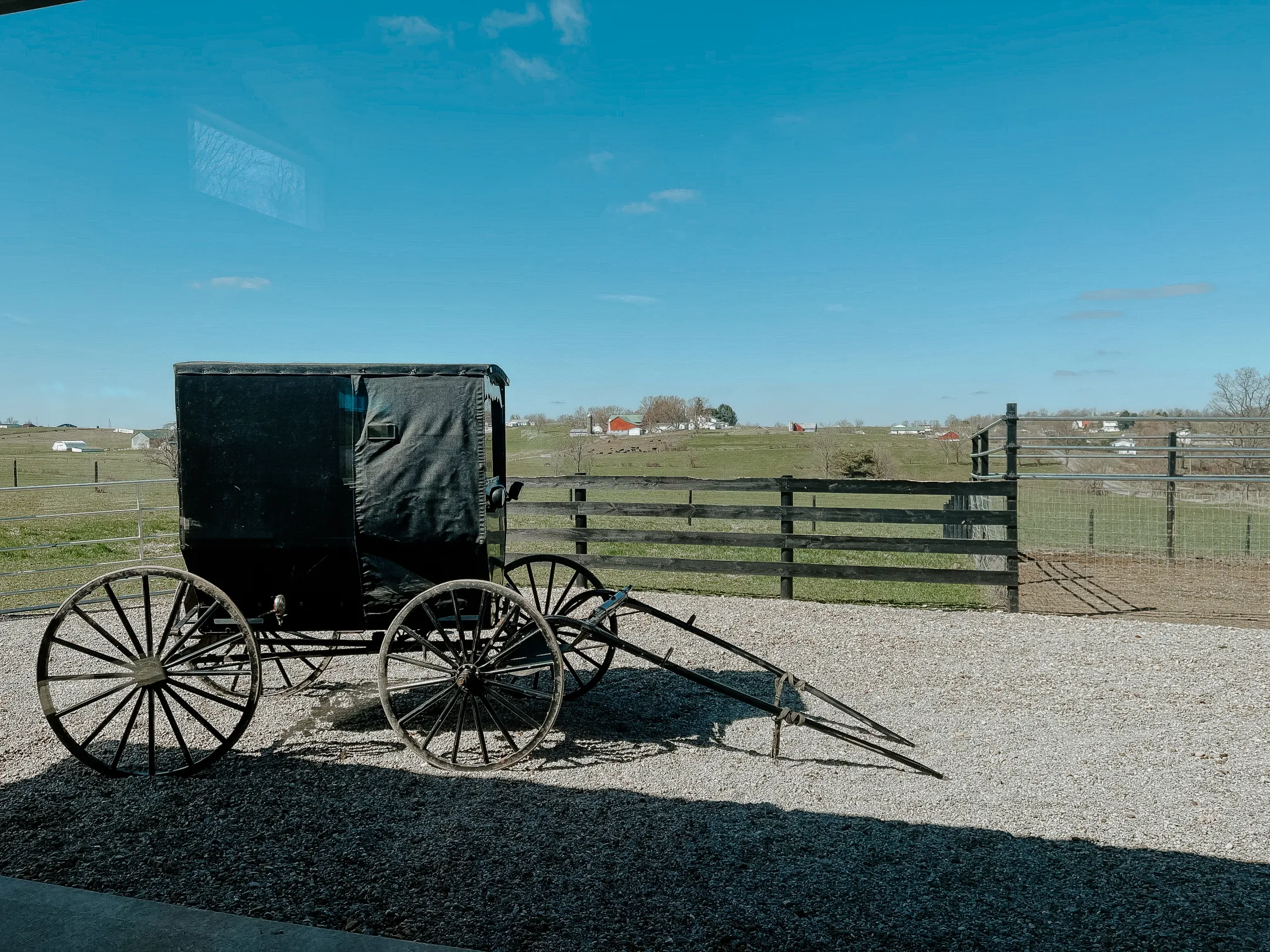 Amish Buggy