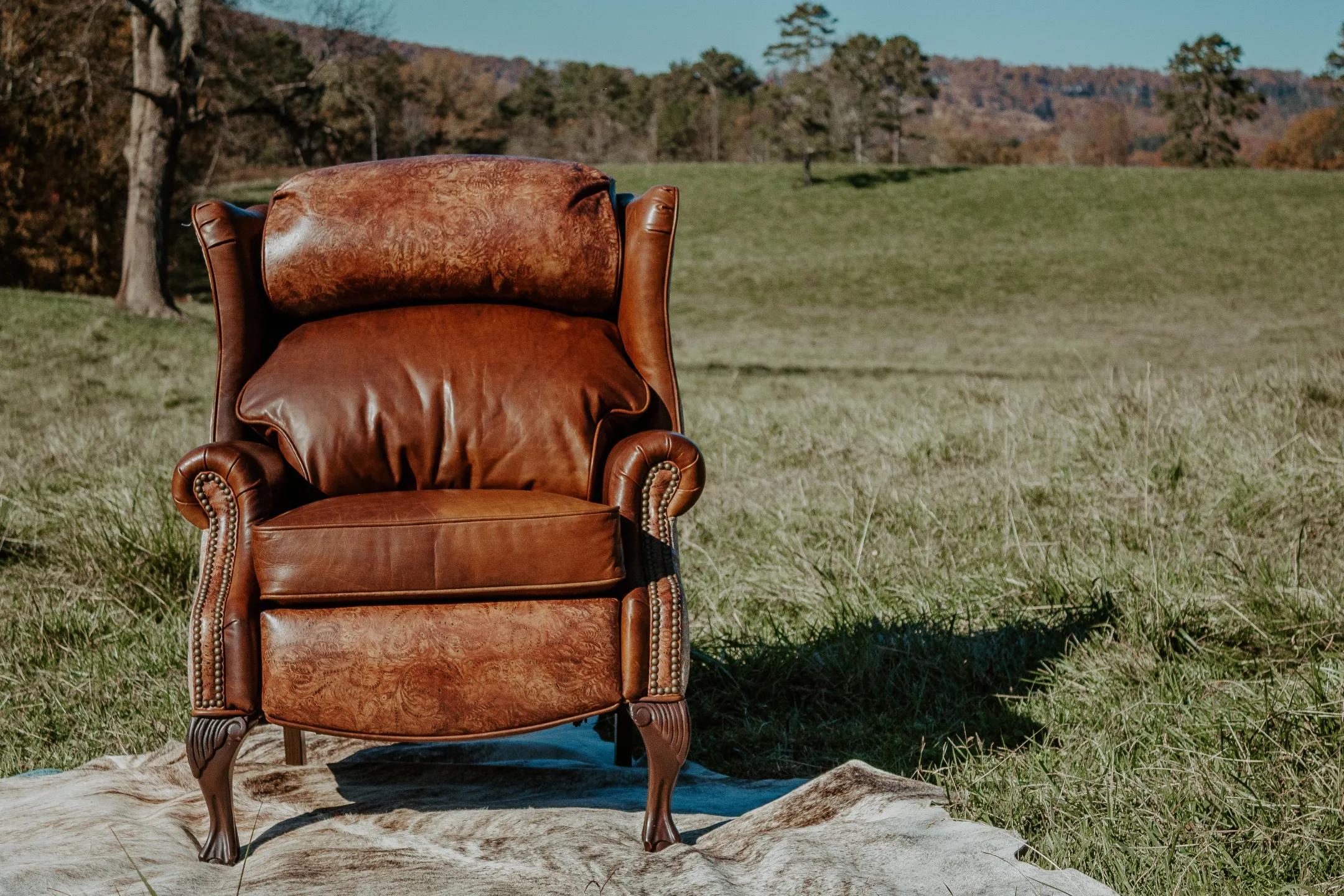 leather chair in field