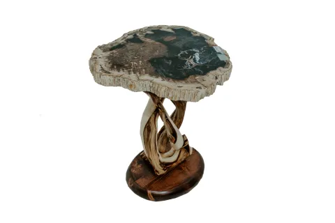 Petrified Wood End Table